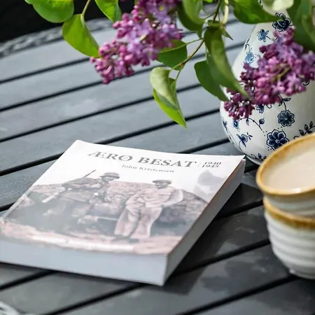 Casa vacanze Ae321-aeroskobing-borgnaesvej-7 Ærøskøbing